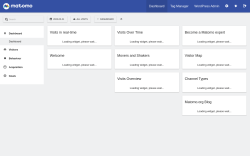 Page screenshot: Matomo Analytics &rarr; Reporting 
