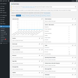 Page screenshot: Matomo Analytics &rarr; Summary