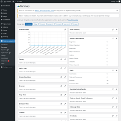 Page screenshot: Matomo Analytics &rarr; Summary