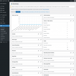Page screenshot: Matomo Analytics &rarr; Summary