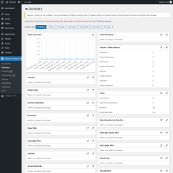 Page screenshot: Matomo Analytics &rarr; Summary