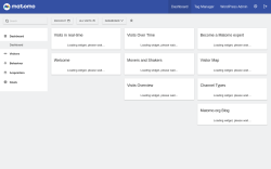 Page screenshot: Matomo Analytics &rarr; Reporting 