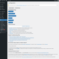 Page screenshot: Matomo Analytics &rarr; Diagnostics &rarr; Troubleshooting