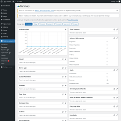 Page screenshot: Matomo Analytics &rarr; Summary