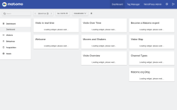 Page screenshot: Matomo Analytics &rarr; Reporting 