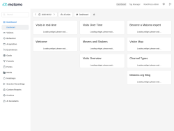 Page screenshot: Matomo Analytics &rarr; Reporting 