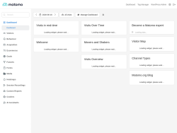 Page screenshot: Matomo Analytics &rarr; Reporting 