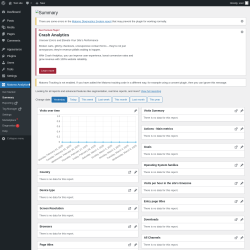 Page screenshot: Matomo Analytics &rarr; Summary