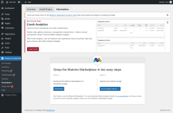 Page screenshot: Matomo Analytics → Marketplace → Subscriptions