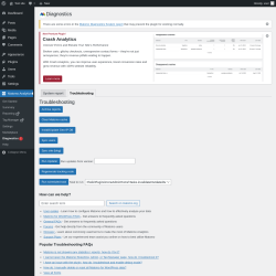 Page screenshot: Matomo Analytics → Diagnostics → Troubleshooting