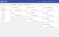 Page screenshot: Matomo Analytics → Reporting 