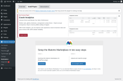 Page screenshot: Matomo Analytics &rarr; Marketplace &rarr; Install Plugins