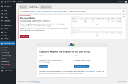 Page screenshot: Matomo Analytics &rarr; Marketplace &rarr; Install Plugins