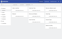 Page screenshot: Matomo Analytics &rarr; Reporting 