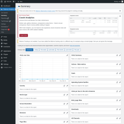 Page screenshot: Matomo Analytics &rarr; Summary