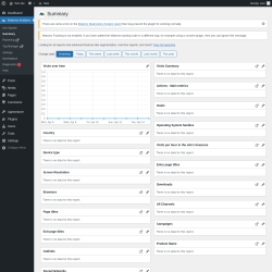 Page screenshot: Matomo Analytics &rarr; Summary