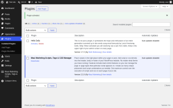 Page screenshot: Plugins &lsaquo; Test site &mdash; WordPress