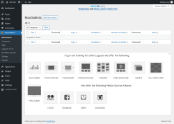 Page screenshot: MaxGalleria