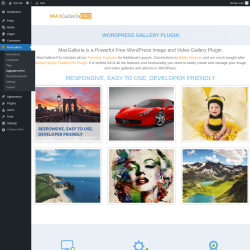 Page screenshot: MaxGalleria → Upgrade to Pro