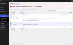 Page screenshot: Plugins &lsaquo; Test site &mdash; WordPress