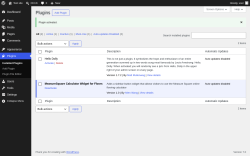 Page screenshot: Plugins &lsaquo; Test site &mdash; WordPress
