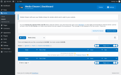 Page screenshot: Media → Cleaner