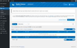 Page screenshot: Media → Cleaner