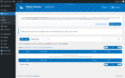 Page screenshot: Media → Cleaner