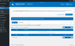 Page screenshot: Media &rarr; Cleaner