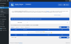 Page screenshot: Media &rarr; Cleaner