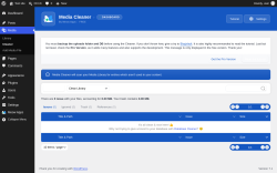 Page screenshot: Media &rarr; Cleaner