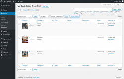 Page screenshot: Media &rarr; Assistant