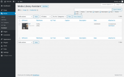 Page screenshot: Media &rarr; Assistant