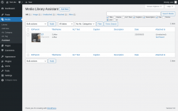 Page screenshot: Media &rarr; Assistant