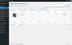 Page screenshot: Media &rarr; Assistant