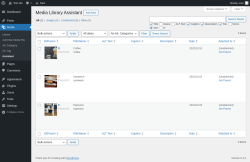 Page screenshot: Media &rarr; Assistant