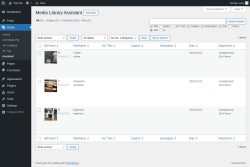 Page screenshot: Media → Assistant