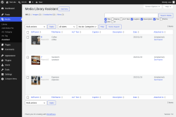 Page screenshot: Media &rarr; Assistant