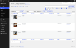 Page screenshot: Media &rarr; Assistant