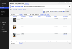 Page screenshot: Media &rarr; Assistant