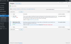 Page screenshot: Plugins &lsaquo; Test site &mdash; WordPress