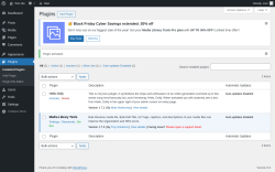 Page screenshot: Plugins &lsaquo; Test site &mdash; WordPress
