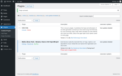 Page screenshot: Plugins &lsaquo; Test site &mdash; WordPress