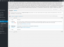 Page screenshot: Plugins &lsaquo; Test site &mdash; WordPress