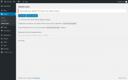 Page screenshot: Media &rarr; Media Sync