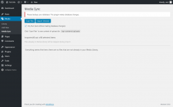 Page screenshot: Media &rarr; Media Sync