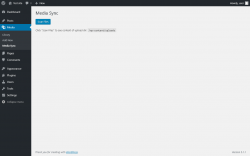 Page screenshot: Media &rarr; Media Sync