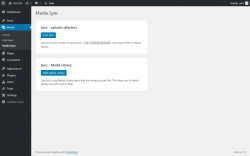 Page screenshot: Media &rarr; Media Sync
