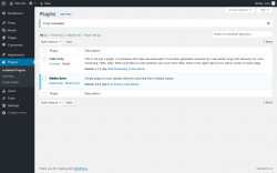 Page screenshot: Plugins &lsaquo; Test site &mdash; WordPress