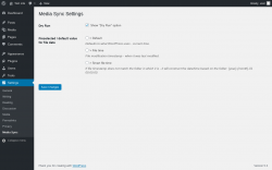 Page screenshot: Settings &rarr; Media Sync